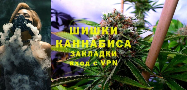 крисы Аркадак