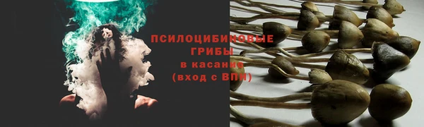 винт Арсеньев